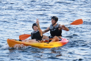 Alcudia: Guided Sea Kayaking Tour