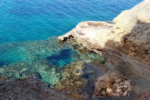 Alcudia: Guided Sea Kayaking Tour