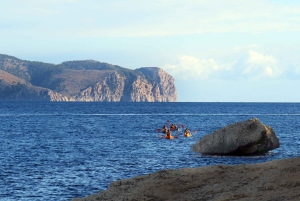 Alcudia: Guided Sea Kayaking Tour