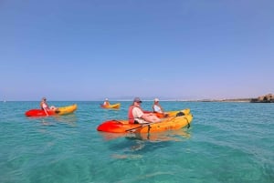Passeio de caiaque pela Baía de Palma
