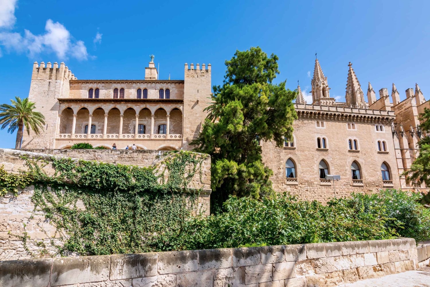 La Almudaina Palace Inträdesbiljett