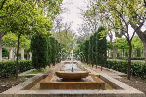 La Almudaina Palace Inträdesbiljett