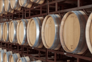 Llucmajor: Ruta del Vino Bodegas Bordoy