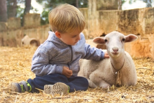 Llucmajor: Fresopolis Family Experience Farm In Mallorca