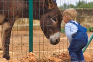 Llucmajor: Fresopolis Mallorca Family Farm Experience