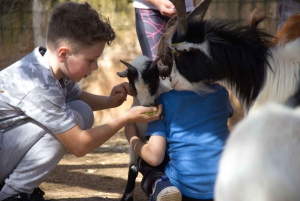 Llucmajor: Fresopolis Mallorca Family Farm Experience