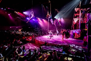 Magaluf: Pirates Adventure Dinner Show Ticket