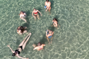 Majorque : dîner à bord d'un catamaran privé avec plongée en apnée et paddle surfing