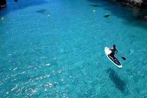 Majorque : dîner à bord d'un catamaran privé avec plongée en apnée et paddle surfing