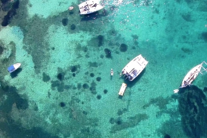 Majorque : dîner à bord d'un catamaran privé avec plongée en apnée et paddle surfing