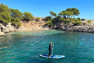 Majorque : dîner à bord d'un catamaran privé avec plongée en apnée et paddle surfing