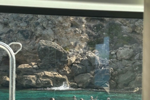 Majorque : dîner à bord d'un catamaran privé avec plongée en apnée et paddle surfing