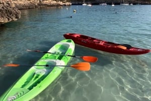 Mallorca: Kayak and Paddle Surf excursion through crystal clear water caves