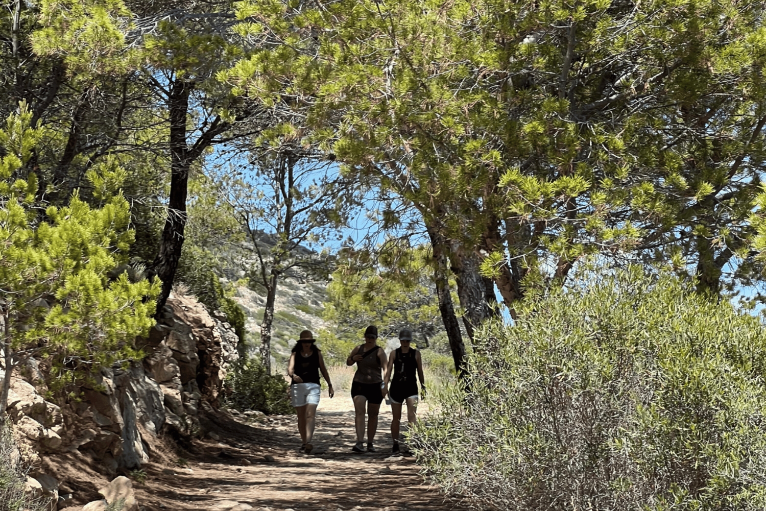 Mallorca: Besøg naturparken på øen Dragonera med båd