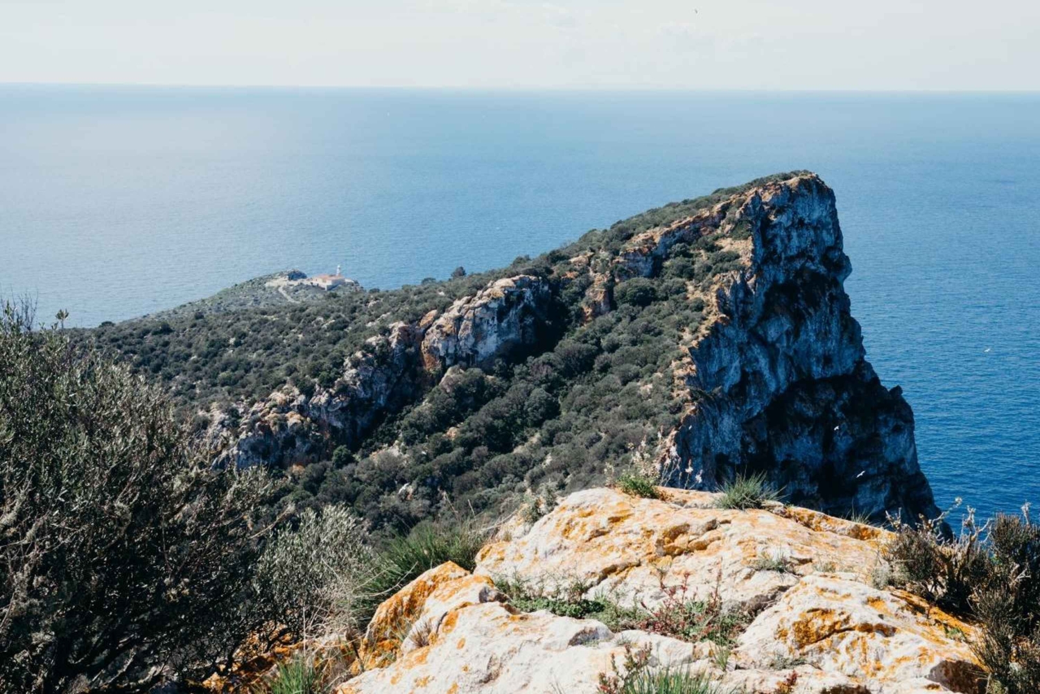 Mallorca: Besøg naturparken på øen Dragonera med båd