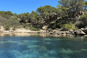 Mallorca: Besøg naturparken på øen Dragonera med båd