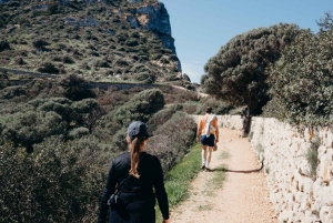 Mallorca: Besøg naturparken på øen Dragonera med båd