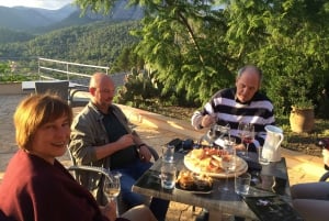 Mallorca: Full-Day Winery Small Group Tour