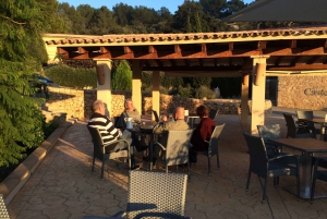 Mallorca: Full-Day Winery Small Group Tour