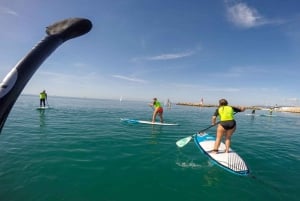 Mallorca: 1-Hour Stand-Up Paddleboard Lesson