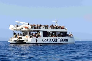 Майорка: 2,5-часовая водная прогулка с наблюдением за дельфинами