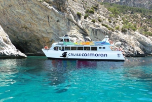 Mallorca: 2-Hour Dolphin Watching Cruise & Glass-Bottom Boat