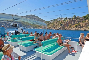 Mallorca: 2-Hour Dolphin Watching Cruise & Glass-Bottom Boat