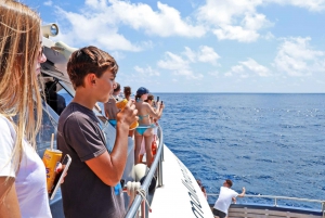 Mallorca: Crucero de 2 horas en barco con fondo de cristal para avistar delfines