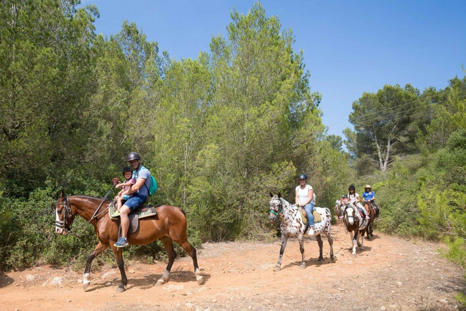 Mallorca: Mountain Horse Riding Experience w/ Brunch Option
