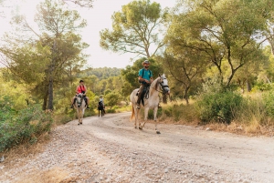 Mallorca: Mountain Horse Riding Experience w/ Brunch Option