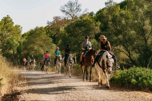 Mallorca: Mountain Horse Riding Experience w/ Brunch Option