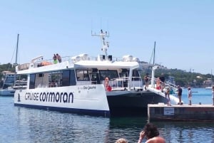 Mallorca: excursión en barco de 3,5 horas con baño y snorkel