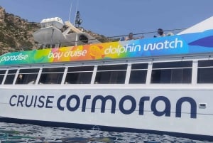 Mallorca: excursión en barco de 3,5 horas con baño y snorkel