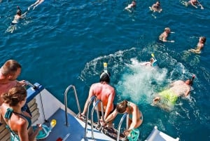 Mallorca: Delphinbeobachtungs-Kreuzfahrt