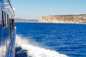 Mallorca: Dolphin Watching Cruise