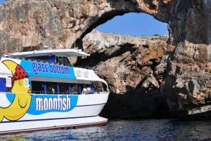 Mallorca: 4-timers bådtur i katamaran langs østkysten