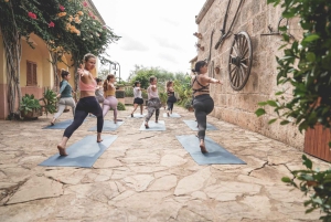 Mallorca: Retiro de 4 horas de yoga, meditación y vibraciones mágicas