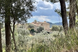 Mallorca - um paraíso para os amantes do vinho