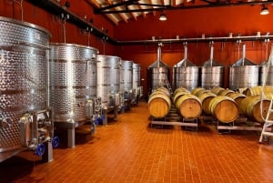 Majorque - un paradis pour les amateurs de vin