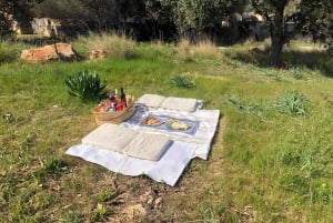 Mallorca: Activity, Antique Mallorca with Picnic