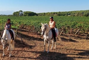Mallorca: Activity, Antique Mallorca with Picnic