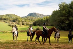 Mallorca: Activity, Antique Mallorca with Picnic