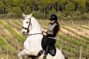 Mallorca: Activity, Antique Mallorca with Picnic