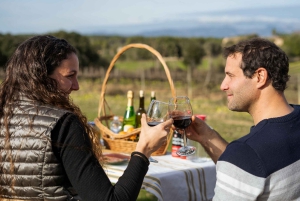 マヨルカ島：アクティビティ、アンティーク マヨルカ島、ピクニック付き