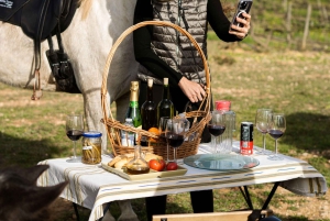 マヨルカ島：アクティビティ、アンティーク マヨルカ島、ピクニック付き