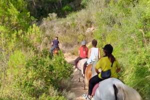 マヨルカ島：アクティビティ、アンティーク マヨルカ島、ピクニック付き