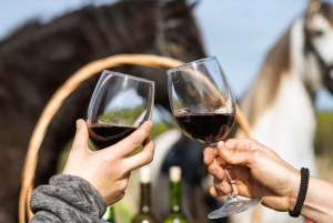 マヨルカ島：アクティビティ、アンティーク マヨルカ島、ピクニック付き