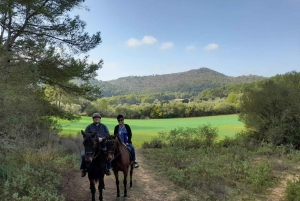 Mallorca: Aktivitet med hästar, Antika Mallorca