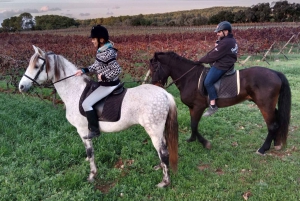 Mallorca: Aktivitet med hästar, Antika Mallorca