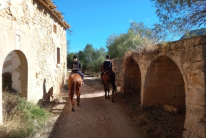 Mallorca: Aktivitet med hästar, Antika Mallorca